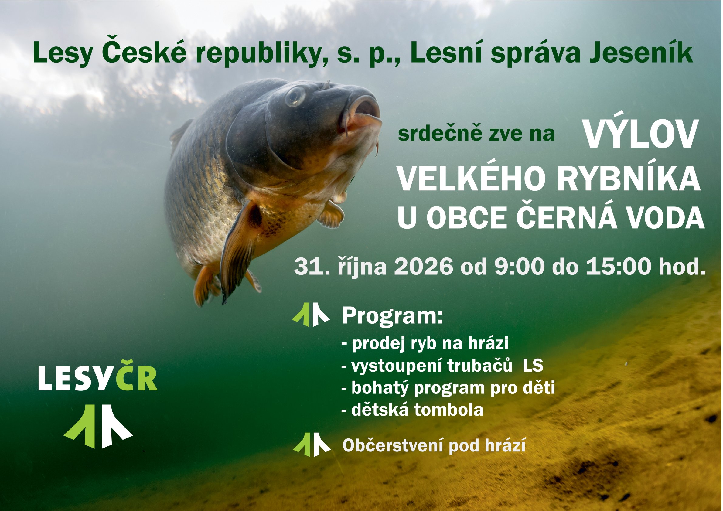 Výlov velkého rybníka u Černé Vody