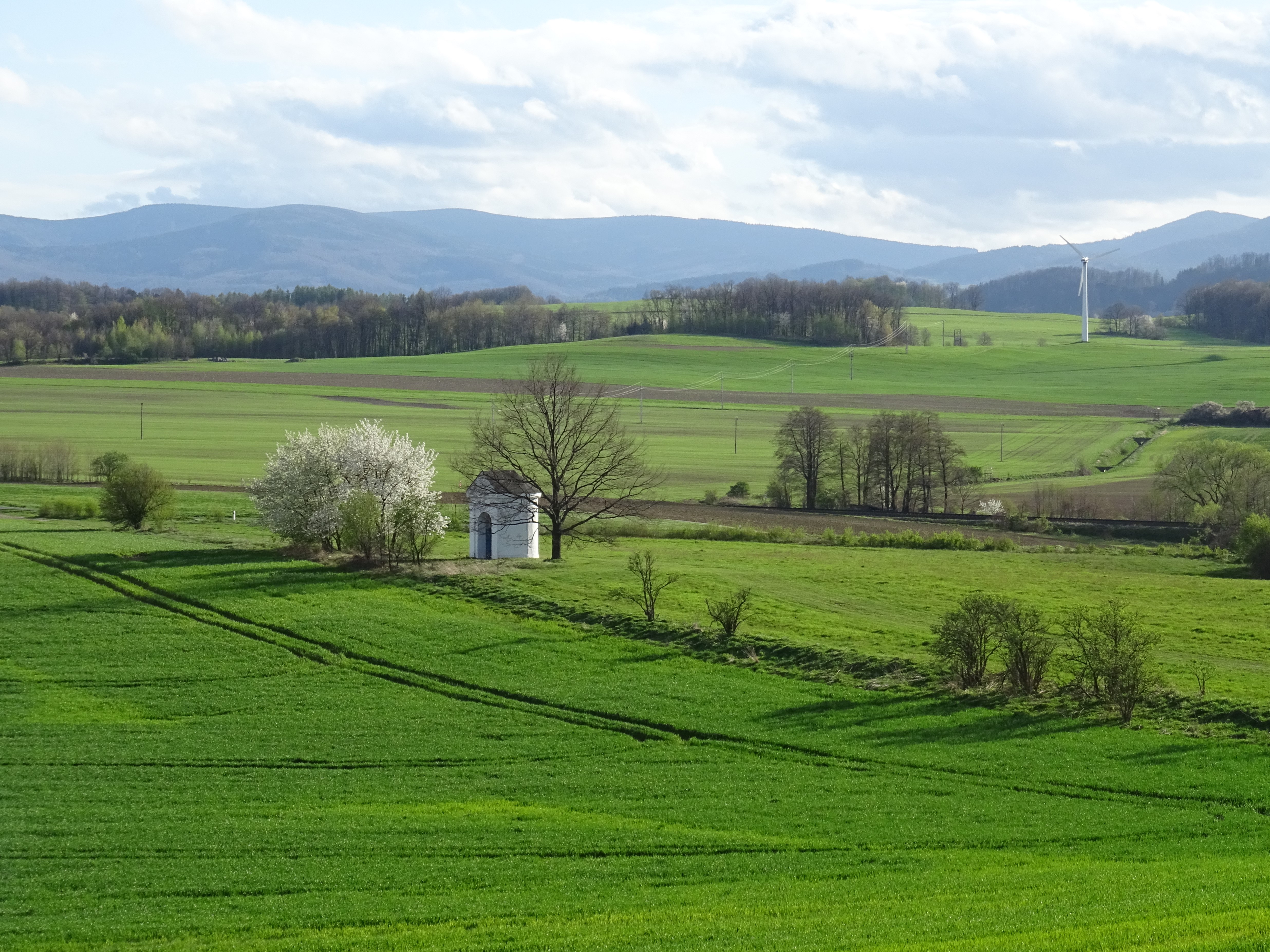 Obec Velká Kraš_M. Han.